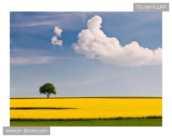 以足球激情点燃人生梦想的三十条奋进励志金句深度精选指南全面篇